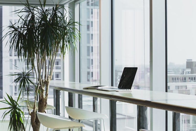 Boutique Office Fit-Out — image 2